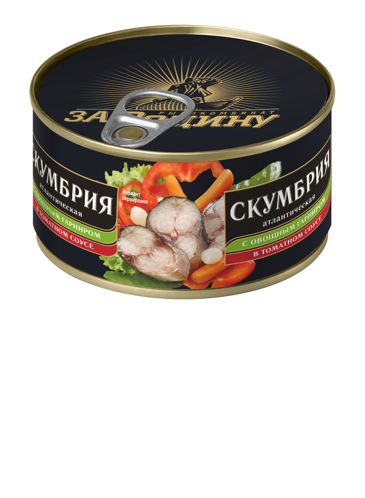 Canned fish. Скумбрия за родину 185г. Скумбрия атлантическая в т/с 185г жб ключ за родину. Скумбрия с овощным гарниром т/с 185 гр. ТМ "за родину". Сардина с овощным гарниром в томатном соусе.